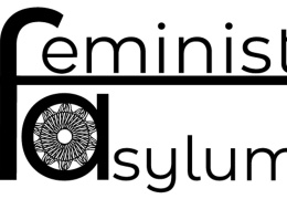 Feminist politikaya sığınmak
