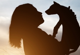 Hayvanları sevince ne oluyor?