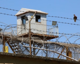 Çalakîya grevê vêşanîye 56 rojî yo dewam kena