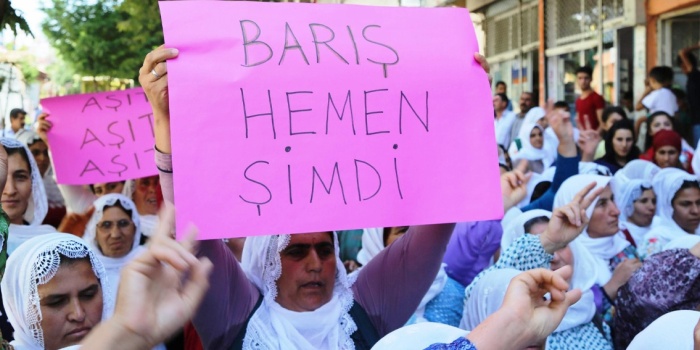 Barış ve Demokratik Toplum