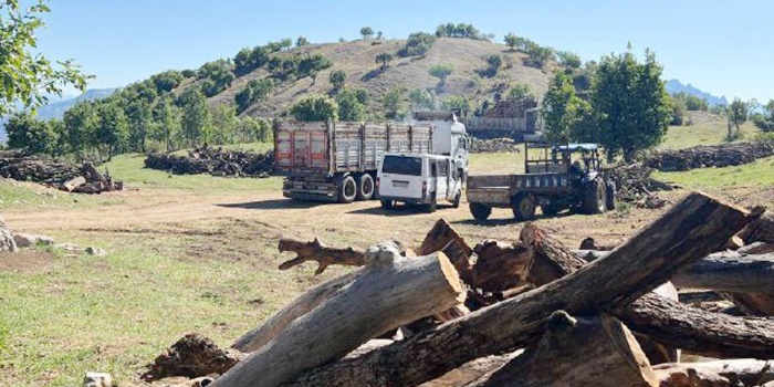 Besta Bölgesi, doğa talanı
