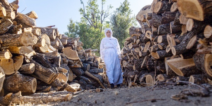 Kürdistan doğa talanı/ foto:Metin YOKSU
