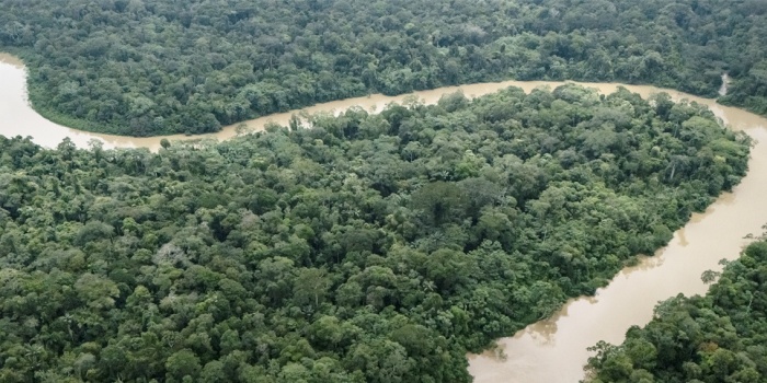 Amazon ormanları /foto:AFP