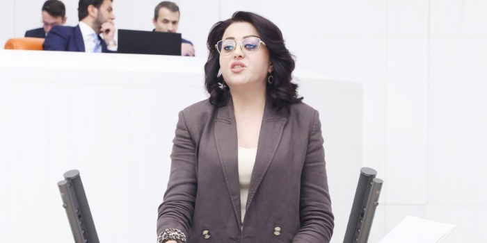 Öznur Bartın